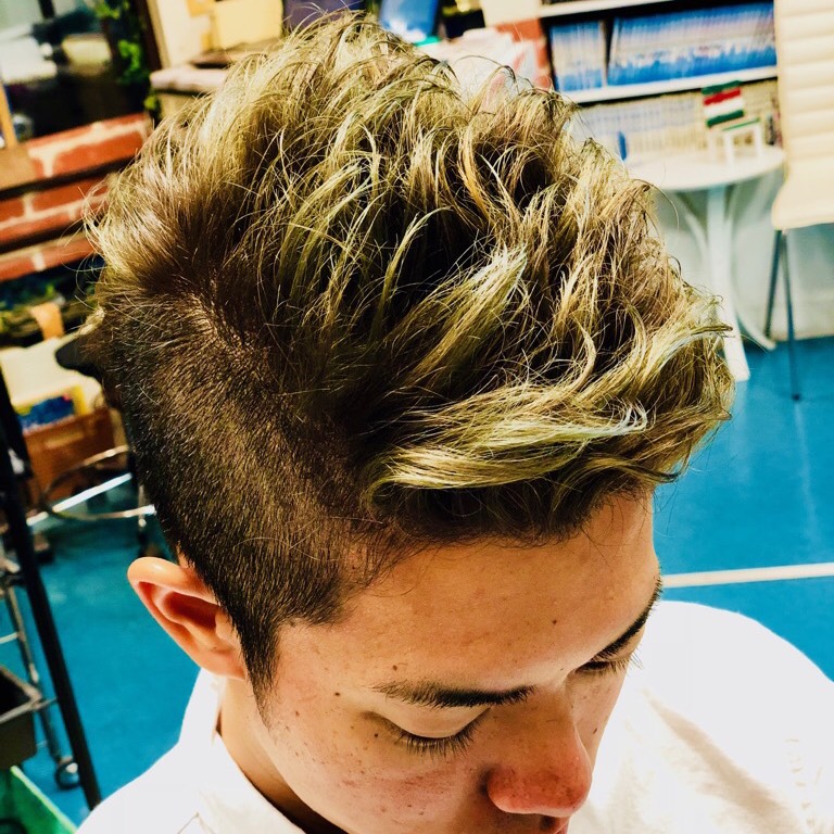 メッシュカラー